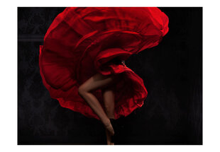 Foto tapete - Flamenco dancer cena un informācija | Fototapetes | 220.lv