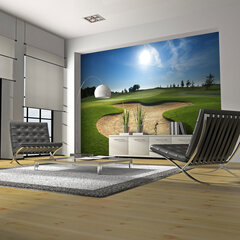 Foto tapete - Golf pitch цена и информация | Фотообои | 220.lv