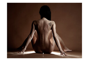 Foto tapete - Woman with tattoo cena un informācija | Fototapetes | 220.lv