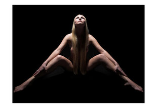 Foto tapete - nude - symmetry цена и информация | Фотообои | 220.lv