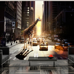 Foto tapete - Giraffe in the big city cena un informācija | Fototapetes | 220.lv