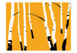 Foto tapete - Birches on the orange background цена и информация | Fototapetes | 220.lv