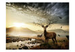 Foto tapete - Deers by mountain stream цена и информация | Fototapetes | 220.lv