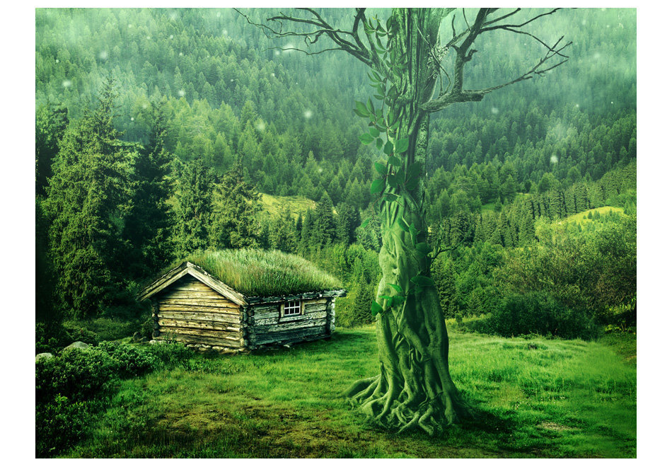 Foto tapete - Green seclusion цена и информация | Fototapetes | 220.lv