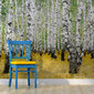 Foto tapete - In birch grove... цена и информация | Fototapetes | 220.lv
