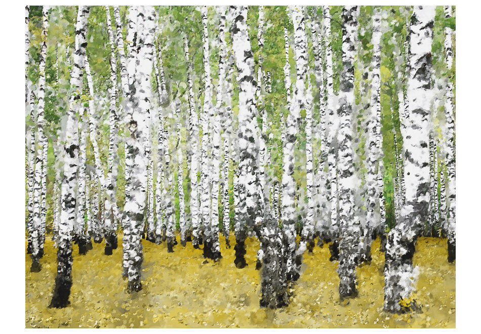 Foto tapete - In birch grove... цена и информация | Fototapetes | 220.lv