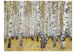 Foto tapete - Autumnal birch forest цена и информация | Fototapetes | 220.lv