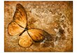Foto tapete - butterfly (sepia) cena un informācija | Fototapetes | 220.lv