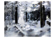 Foto tapete - Winter forest цена и информация | Fototapetes | 220.lv