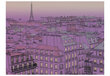 Foto tapete - Friday evening in Paris цена и информация | Fototapetes | 220.lv