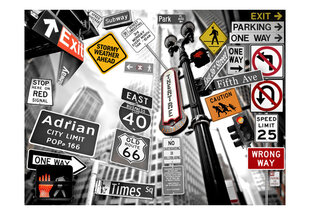 Foto tapete - NYC signs on a monochrome background цена и информация | Фотообои | 220.lv