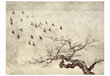 Foto tapete - Flock of birds цена и информация | Fototapetes | 220.lv