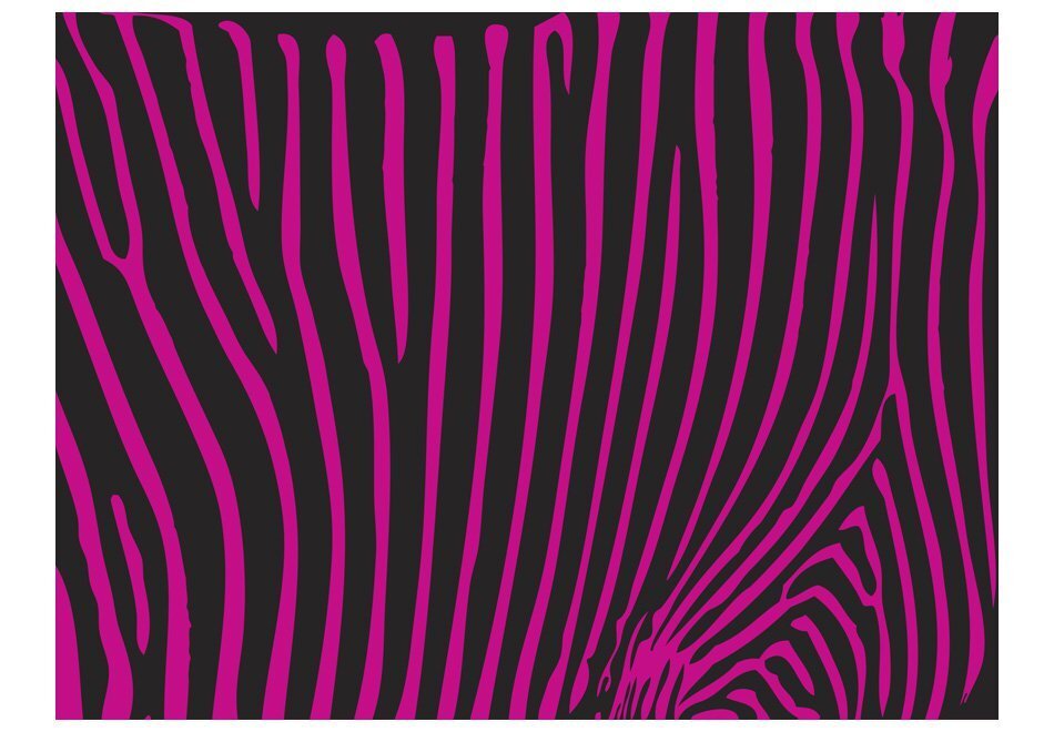 Foto tapete - Zebra pattern (violet) cena un informācija | Fototapetes | 220.lv