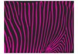 Foto tapete - Zebra pattern (violet) cena un informācija | Fototapetes | 220.lv