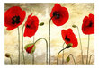 Foto tapete - Golden Field of Poppies цена и информация | Fototapetes | 220.lv