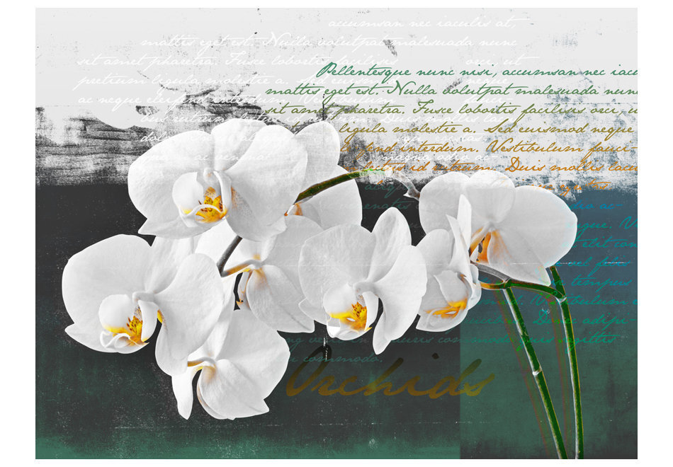 Foto tapete - Orchid - poet's inspiration цена и информация | Fototapetes | 220.lv