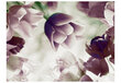 Foto tapete - Heavenly tulips cena un informācija | Fototapetes | 220.lv