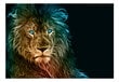 Foto tapete - Abstract lion cena un informācija | Fototapetes | 220.lv