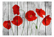 Foto tapete - Tale of Red Poppies цена и информация | Fototapetes | 220.lv