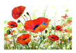 Foto tapete - Country poppies cena un informācija | Fototapetes | 220.lv