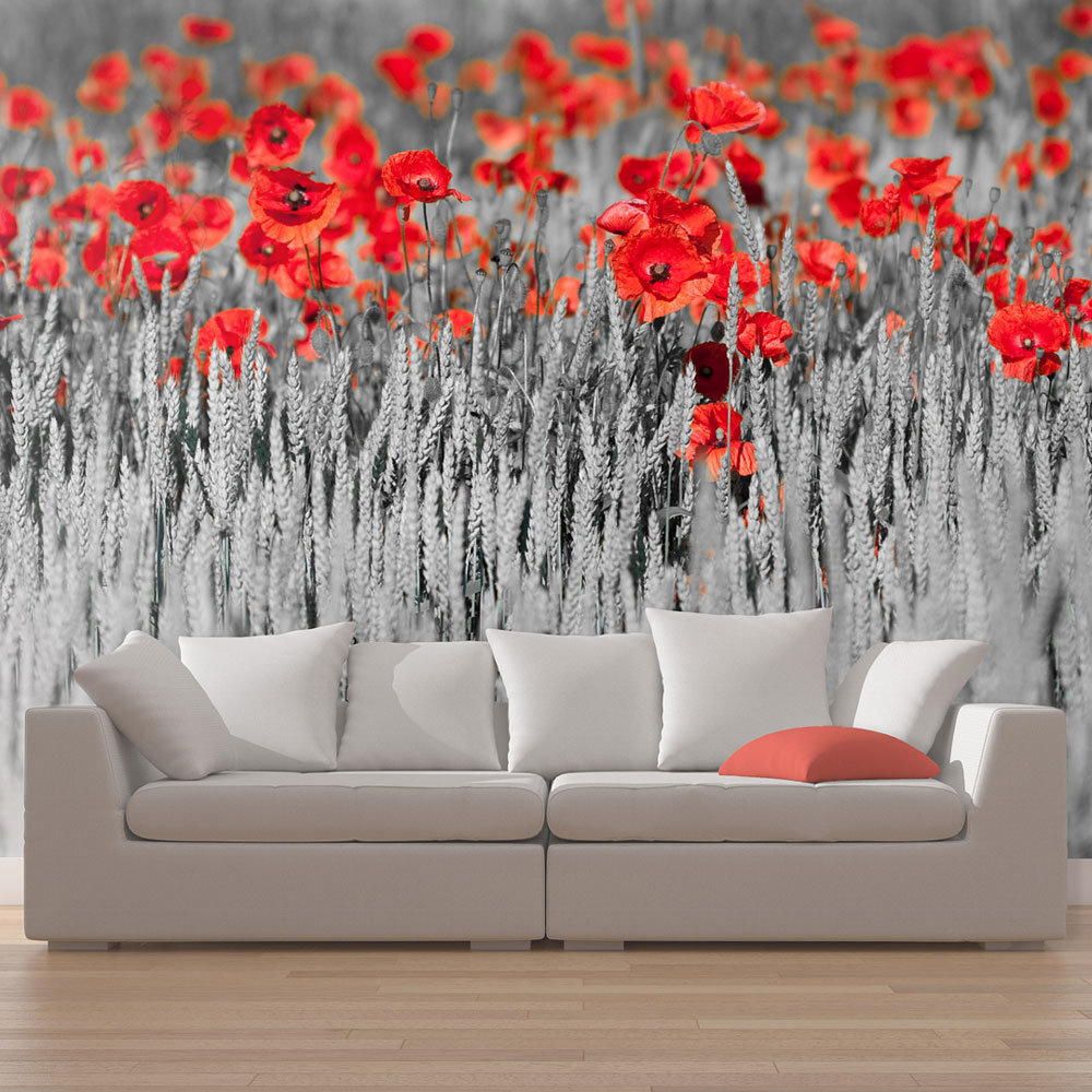 Foto tapete - Red poppies on black and white background цена и информация | Fototapetes | 220.lv