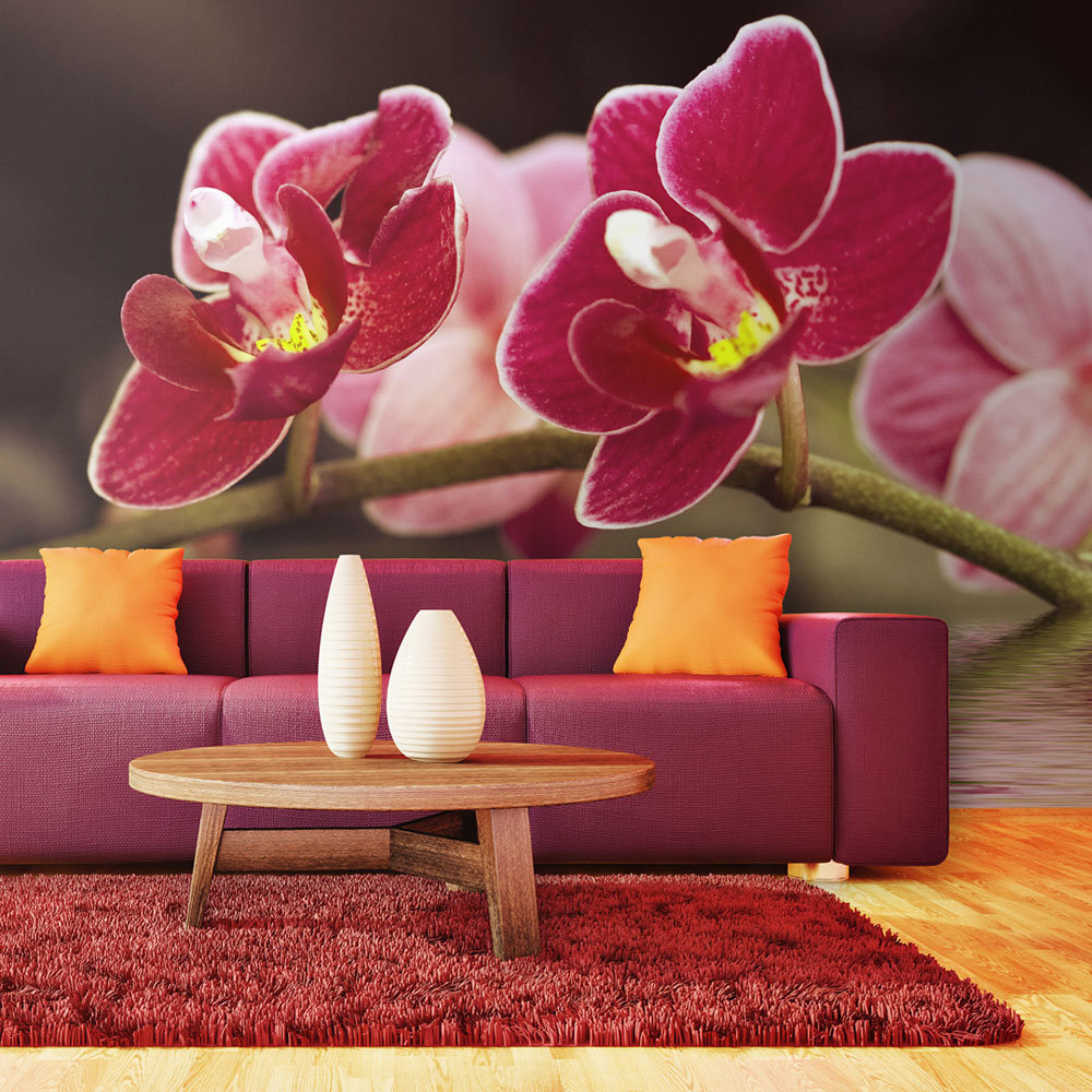 Foto tapete - Beautiful orchid flowers on the water цена и информация | Fototapetes | 220.lv