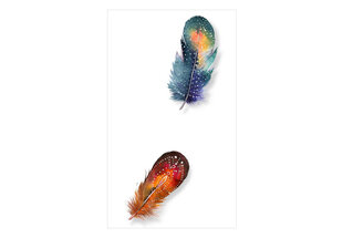 Foto tapete - Colorful Feathers cena un informācija | Fototapetes | 220.lv