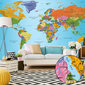 XXL foto tapete - World Map: Colourful Geography II cena un informācija | Fototapetes | 220.lv