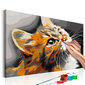 Gleznošana pēc cipariem Red Cat 60x40 cm cena un informācija | Gleznas pēc numuriem | 220.lv