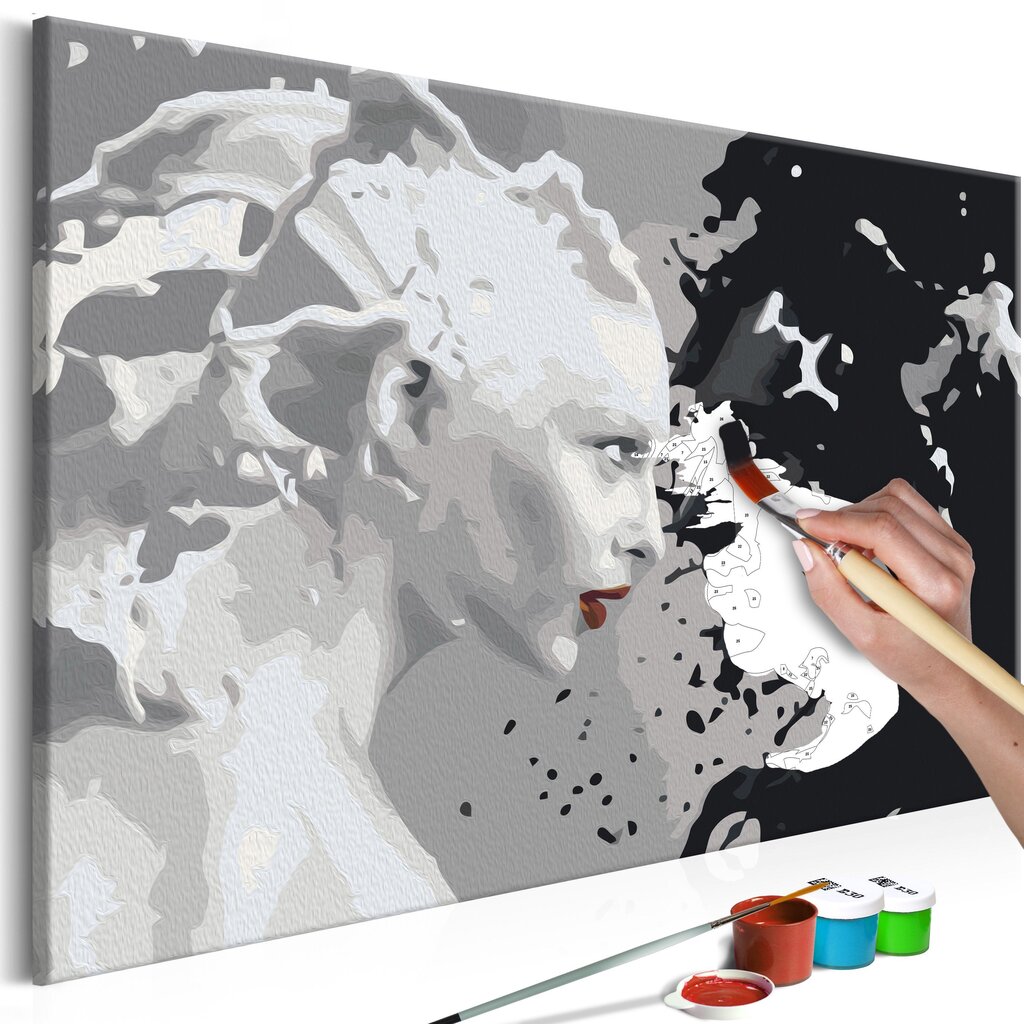 DIY glezna uz audekla - Black & White цена и информация | Gleznas pēc numuriem | 220.lv