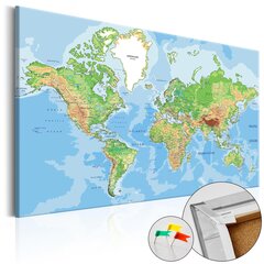 Attēls uz korķa - World Geography [Cork Map] цена и информация | Картины | 220.lv