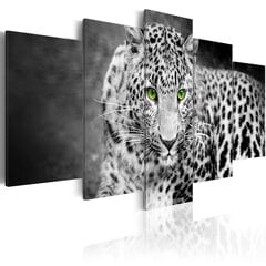 Glezna - Leopard - black&white cena un informācija | Gleznas | 220.lv