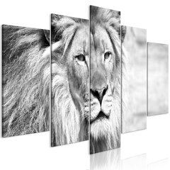 Glezna - The King of Beasts (5 Parts) Wide Black and White cena un informācija | Gleznas | 220.lv