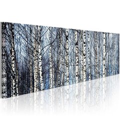 Glezna - White birches cena un informācija | Gleznas | 220.lv