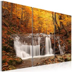 Glezna - A waterfall in the middle of fall trees цена и информация | Картины | 220.lv