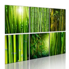 Glezna - Bamboo has many faces цена и информация | Картины | 220.lv