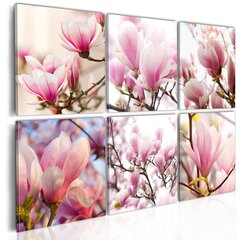 Glezna - Southern magnolias цена и информация | Картины | 220.lv