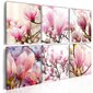 Glezna - Southern magnolias cena un informācija | Gleznas | 220.lv