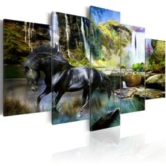 Glezna - Black horse on the background of paradise waterfall cena un informācija | Gleznas | 220.lv