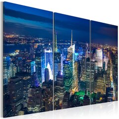 Glezna - Bird´s eye view of New York City by night цена и информация | Картины | 220.lv