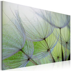 Glezna - Dandelion in the wind цена и информация | Картины | 220.lv