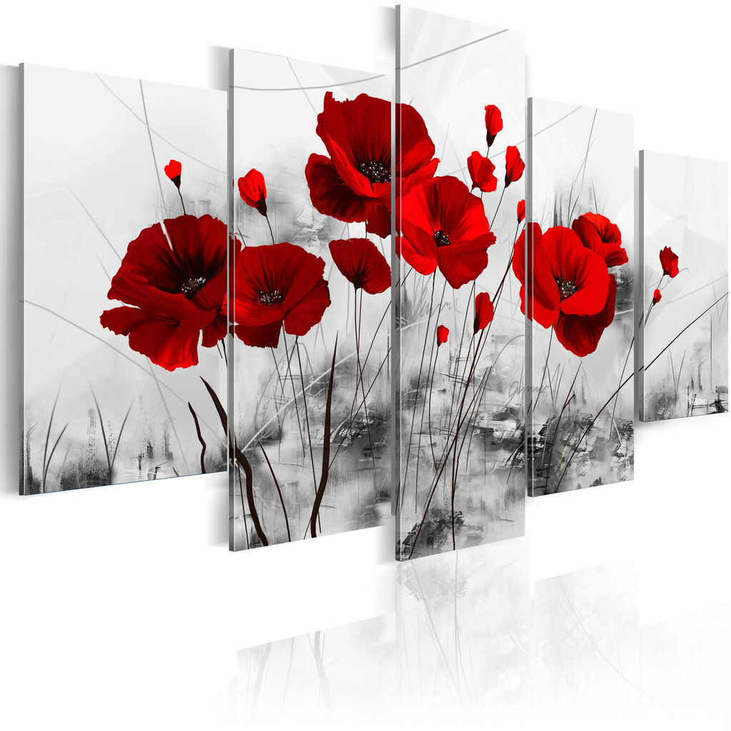 Glezna - Poppies - Red Miracle cena un informācija | Gleznas | 220.lv