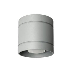 Светильник Lampex Diego цена и информация | Потолочный светильник | 220.lv