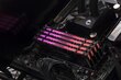 Kingston HyperX Predator цена и информация | Operatīvā atmiņa (RAM) | 220.lv