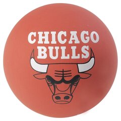 Баскетбольный мяч Spalding NBA Spaldeen Bulls, 6 см цена и информация | Баскетбольные мячи | 220.lv