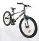 Bērnu velosipēds Good Bike 20", zaļš cena un informācija | Velosipēdi | 220.lv