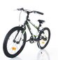 Bērnu velosipēds Good Bike 20", zaļš цена и информация | Velosipēdi | 220.lv