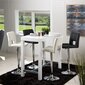 2-vu bāra krēslu komplekts Sylvia, balts/pelēks cena un informācija | Virtuves un ēdamistabas krēsli | 220.lv