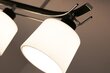 Lampex lampa Olimp 2 цена и информация | Griestu lampas | 220.lv