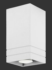 Lampex светильник Neron A цена и информация | Потолочные светильники | 220.lv
